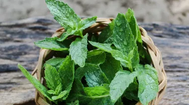 garnishing-instructions-image